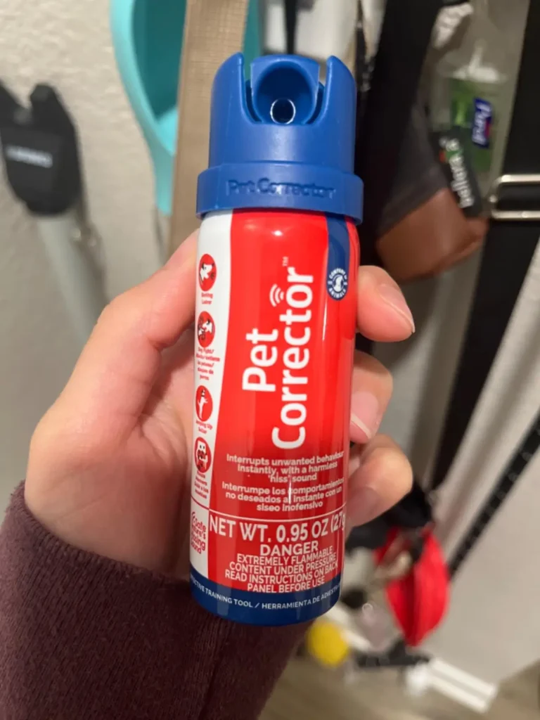 PET CORRECTOR Dog Trainer